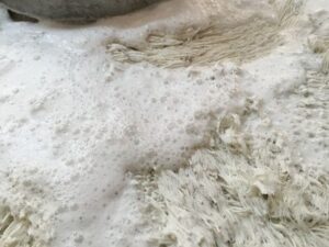 img_0520