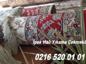 ipek-haliyikama